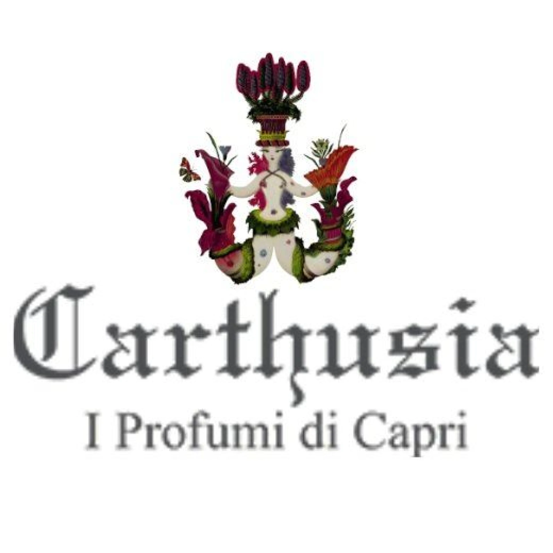 Carthusia