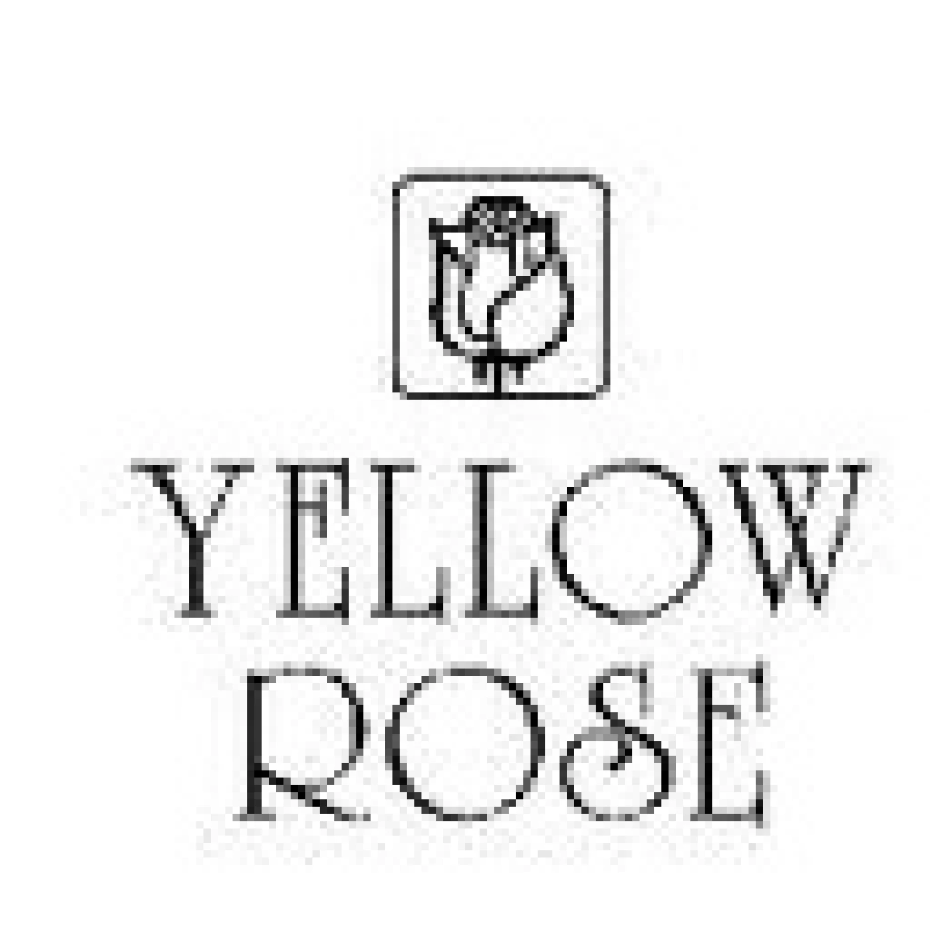 Yellow Rose