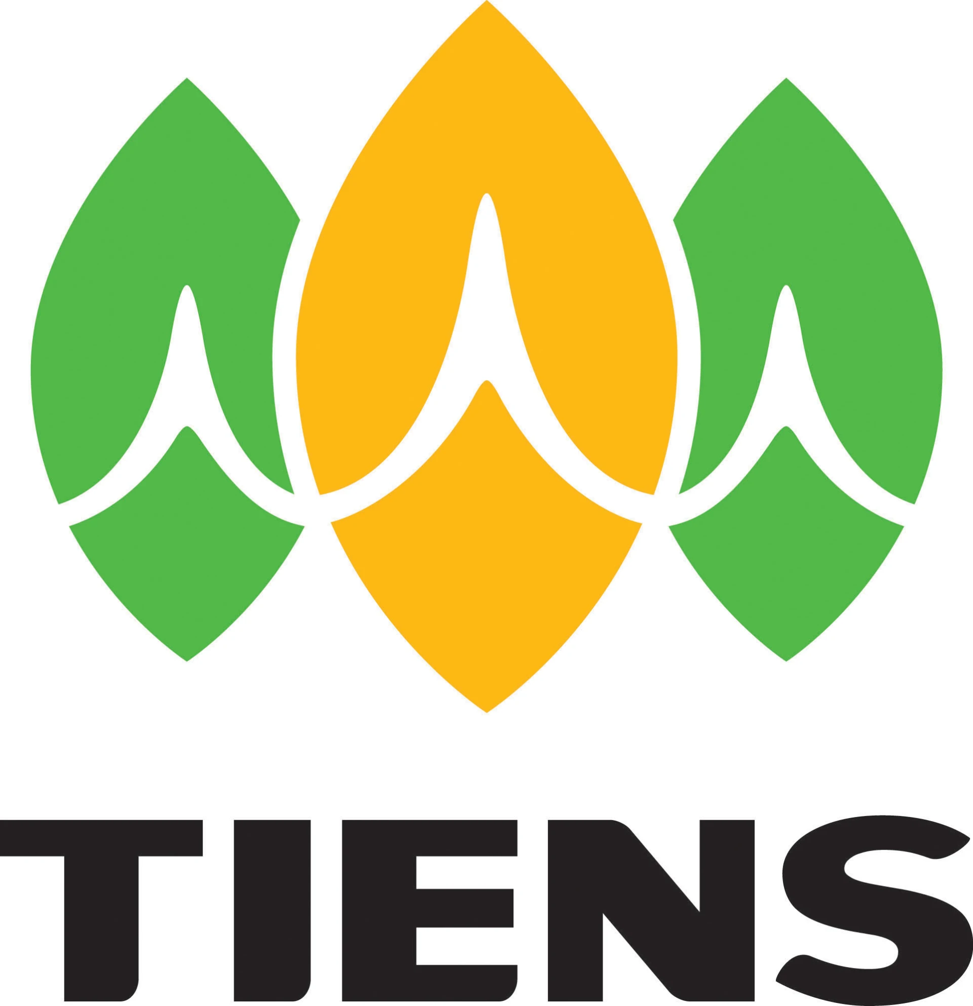 Tiens