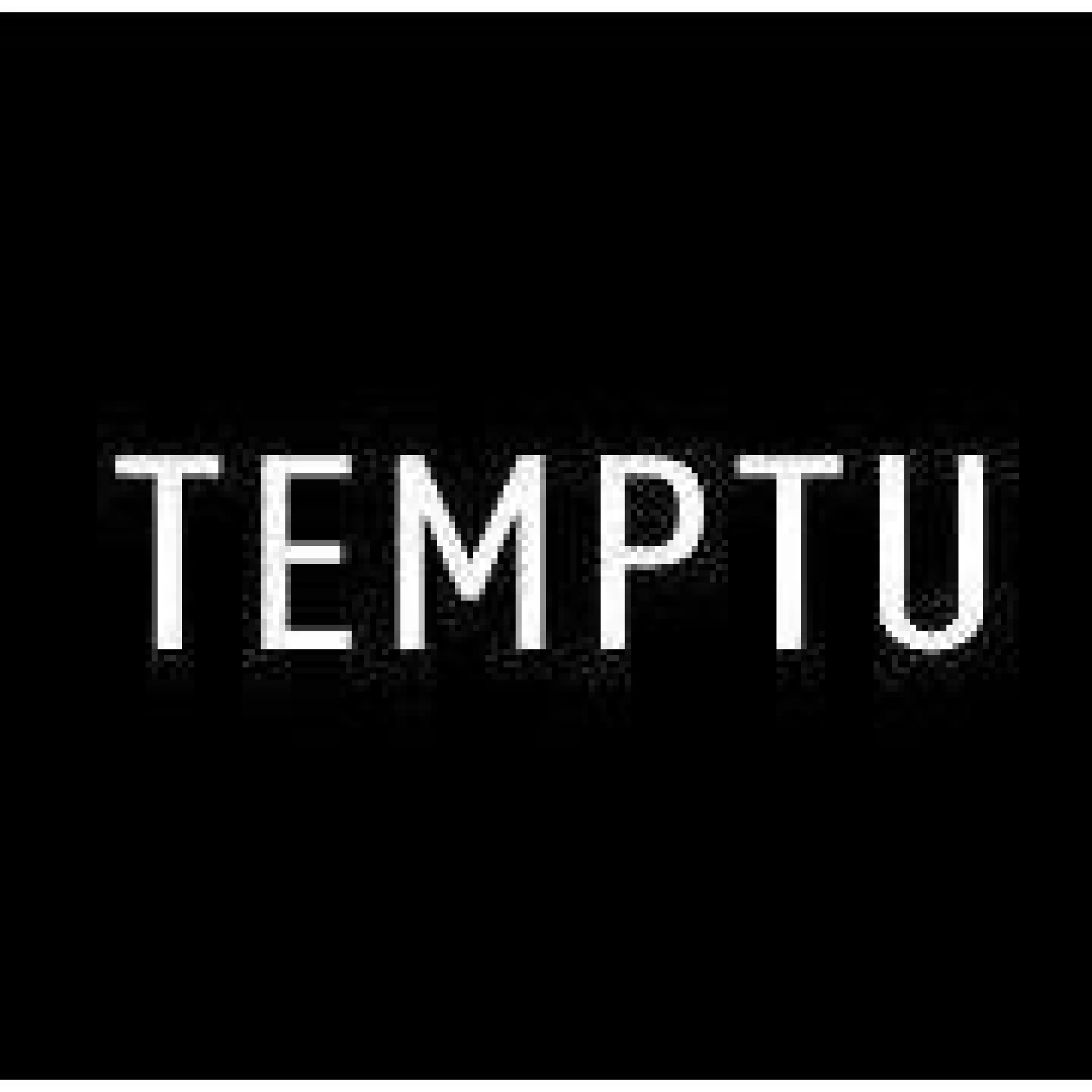 Temptu Pro