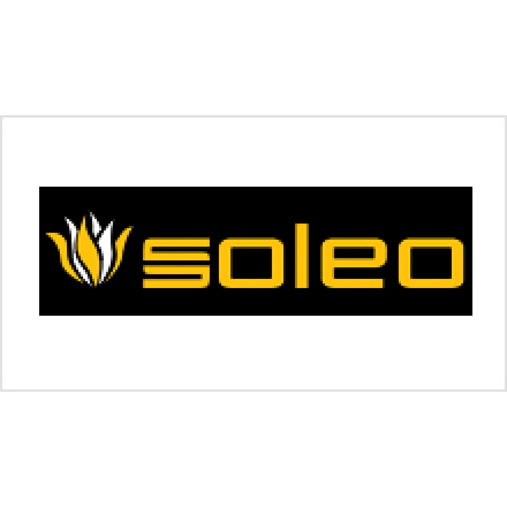 Soleo