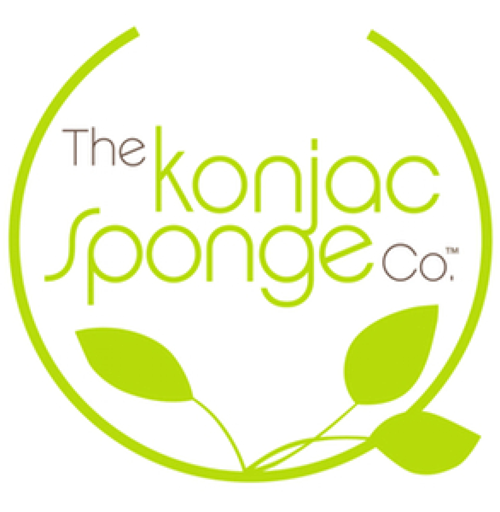 The Konjac Sponge