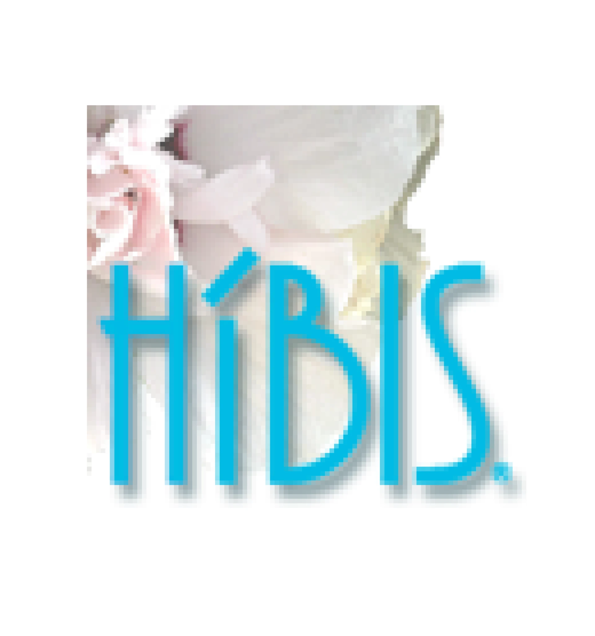 Híbis