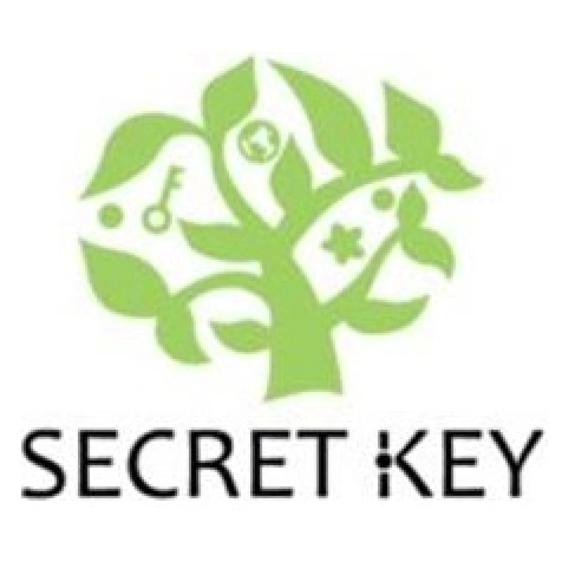 Secret Key
