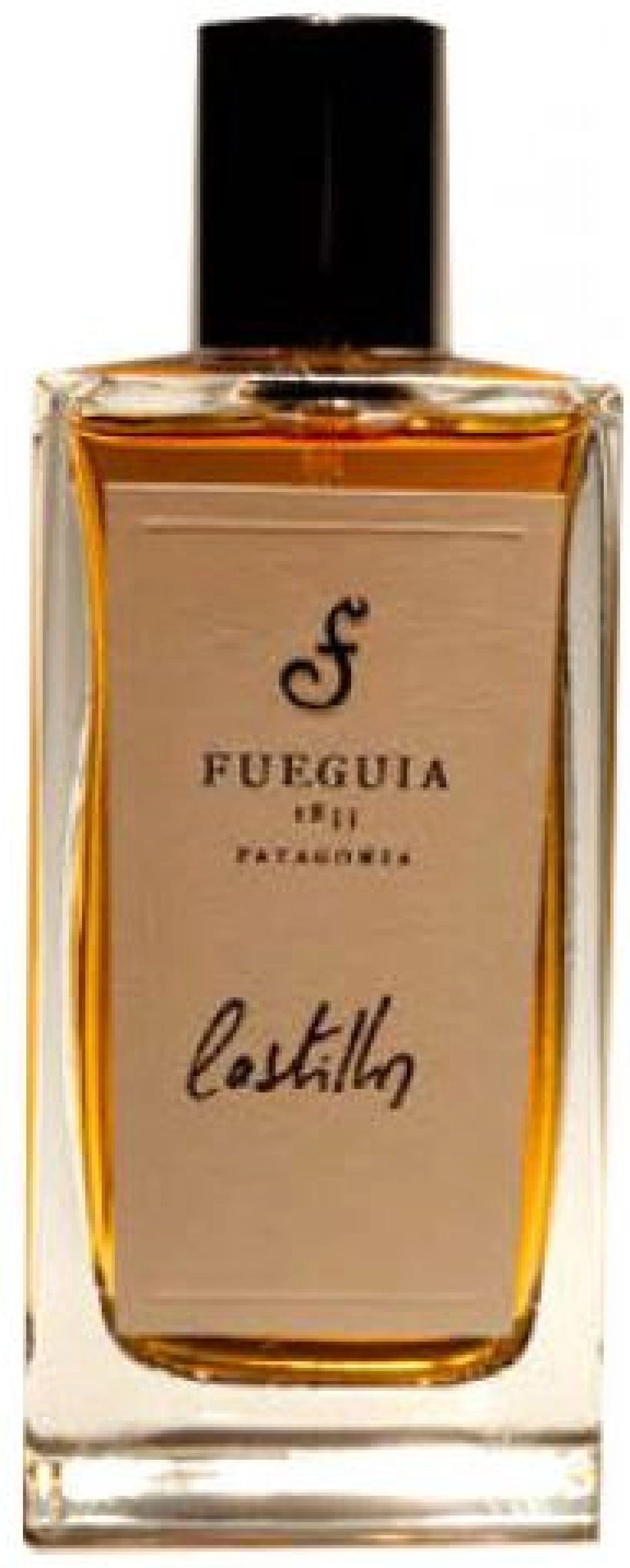 Fueguia 1833 Castillos